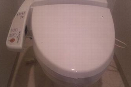 トイレ掃除には金運がついてくる？