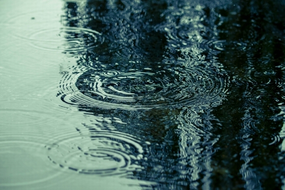 カビ対策梅雨対策